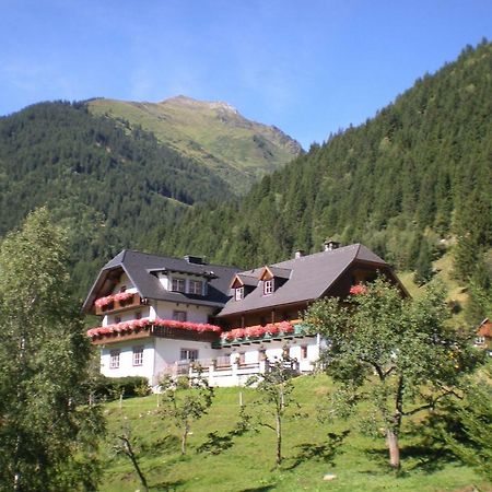 Biobauernhof Spieszschweiger Villa Sankt Nikolai im Sölktal Exterior photo