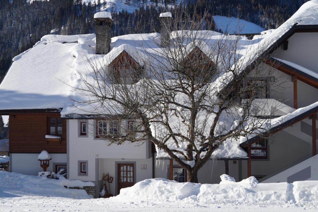 Biobauernhof Spieszschweiger Villa Sankt Nikolai im Sölktal Exterior photo