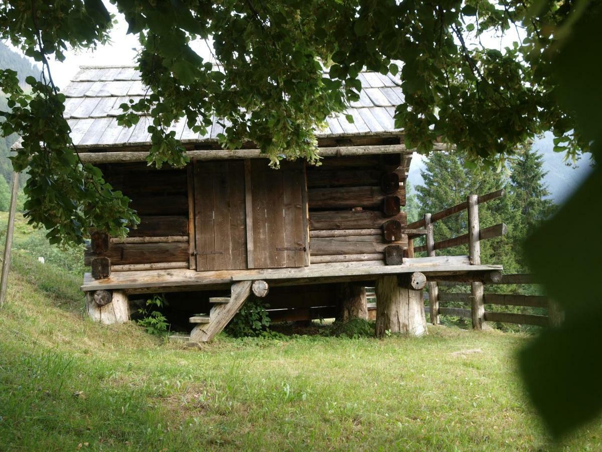 Biobauernhof Spieszschweiger Villa Sankt Nikolai im Sölktal Exterior photo