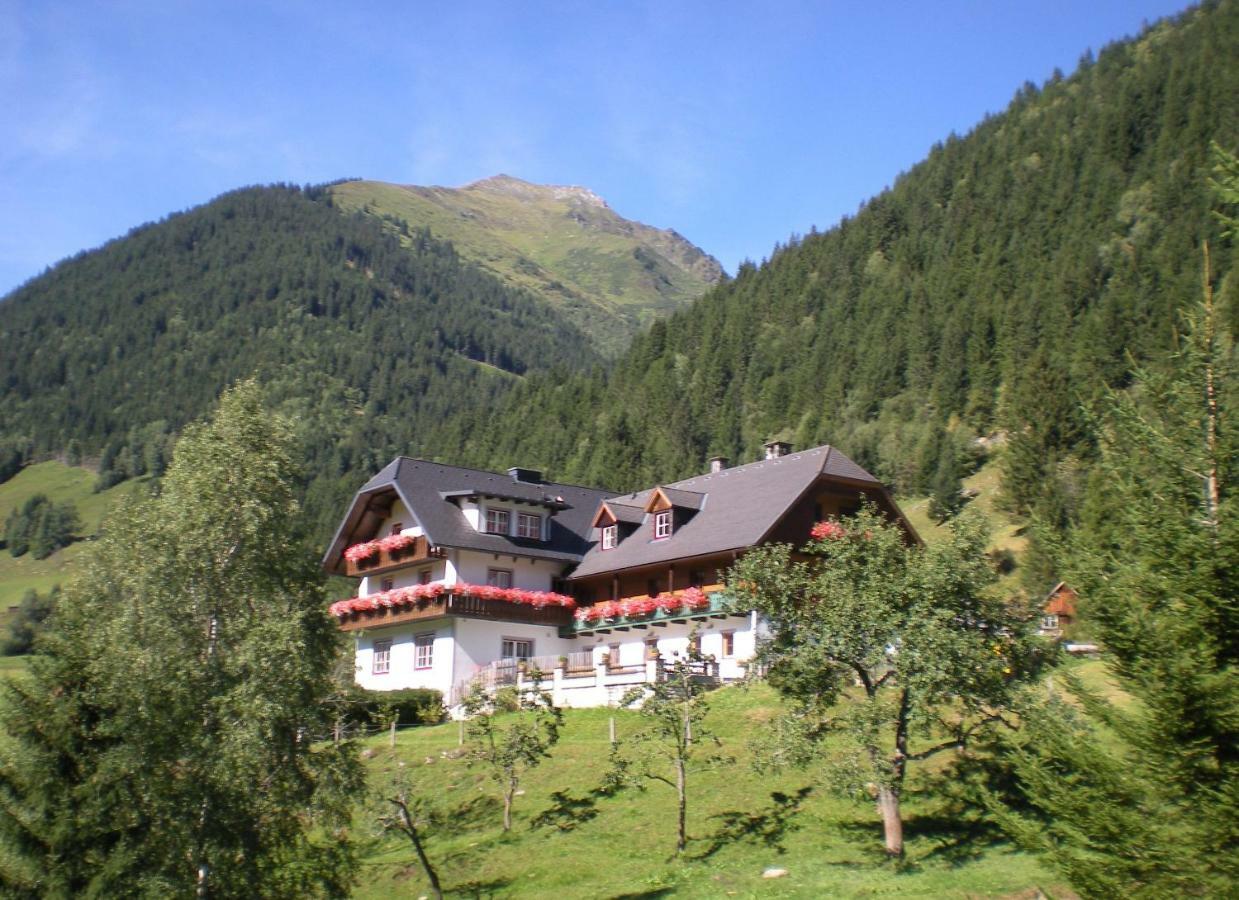 Biobauernhof Spieszschweiger Villa Sankt Nikolai im Sölktal Exterior photo